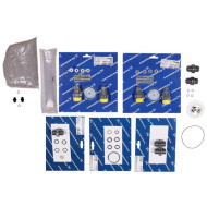 Grundfos KIT, maint.ClO2/162-030/with pump DDI