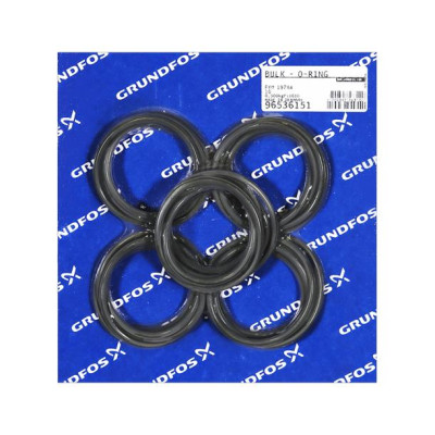 Grundfos Bulk, O-ring FKM 197mm x 4mm (10 pcs)