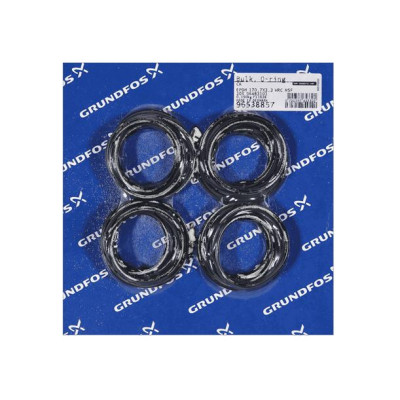 Grundfos BULK - O-Ring EPDM 170.7x3.3 WRC NSF (20 pcs)