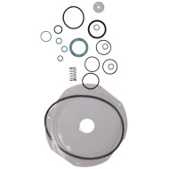 Grundfos KIT, maint.Cl2/148/70kg/h/FKM/TFM1600