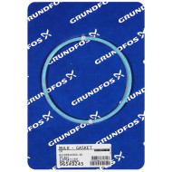 Grundfos Bulk - Gasket D110XD103X0,25 CH (20 pcs)