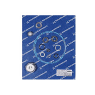 Grundfos Gasket and seal kit CM10/15/25-AQQE/V