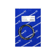 Grundfos O-ring FKM 221.84x3.53/spare