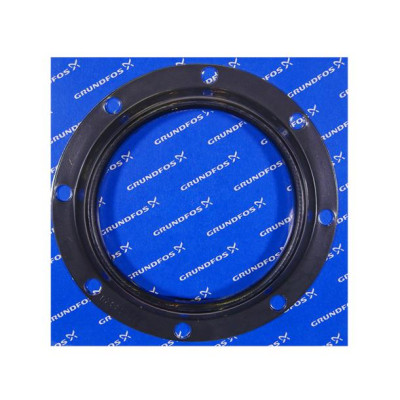 Grundfos Spare: Rubber seal (80035286: 96068320)
