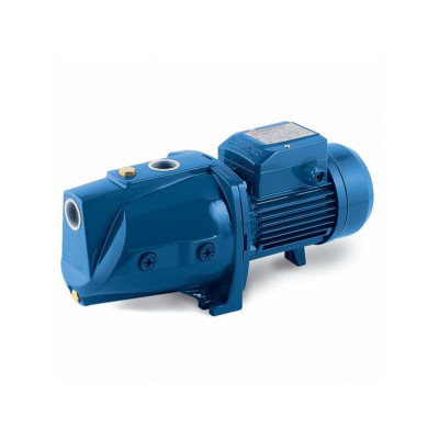 Насос Pedrollo JSWm 1 BX