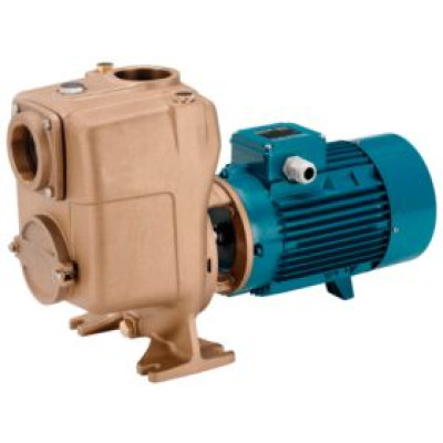 Насос Calpeda BA 50-125B/A