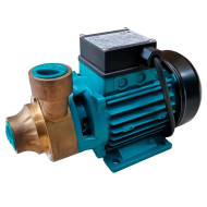 Насос LEO XVm61