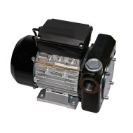 Топливный насос Ампика DB-80 AC220