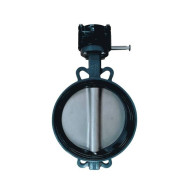 Затвор дисковый поворотный Benarmo Ду250 Ру16 с редуктором