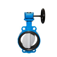 Затвор дисковый поворотный Danfoss VFY WG Ду 25 Ру10 чугун с редуктором