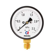 Манометр ЭКОМЕРА радиальный МД02 0-2,5МПа Дк100 М20х1,5