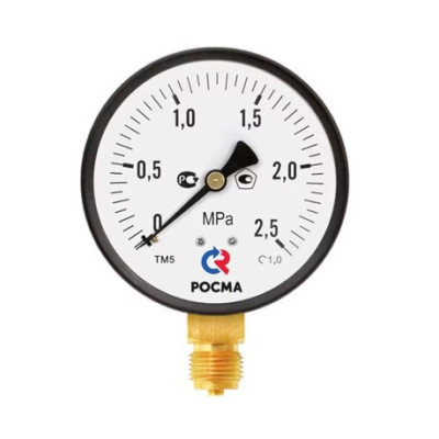 Манометр ЭКОМЕРА радиальный МД02 0-2,5МПа Дк100 М20х1,5
