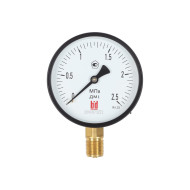 Манометр BD ДМ 1 Т2 100 Р (0-2,5) МПа, кл.1,5, М20х1.5