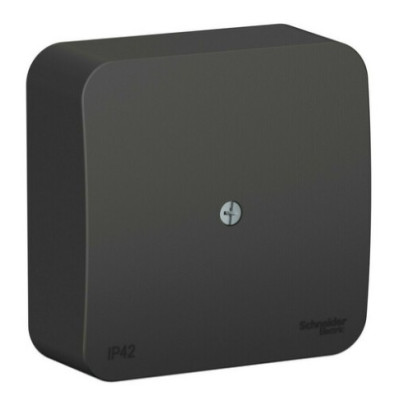 Коробка распределительная Systeme Electric BLANCA, антрацит