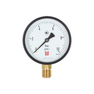 Манометр BD ДМ 1 Т2 100 Р (0-10) бар, кл.1,5 G1/2