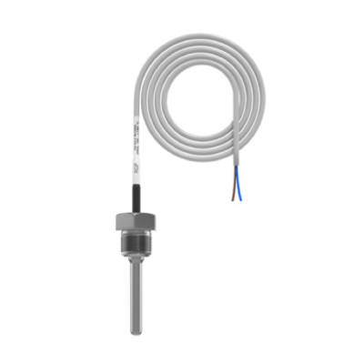Погружной кабельный датчик температуры жидкости RGP 50 мм. G1/2