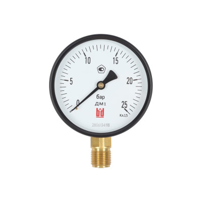 Манометр BD ДМ 1 Т2 100 Р (0-25) бар, кл.1,5, G1/2