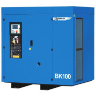 Компрессор Remeza ВК 100-10