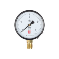 Манометр BD ДМ 1 Т2 100 Р (0-4) бар, кл.1,5, G1/2
