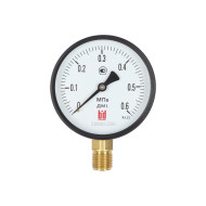 Манометр BD ДМ 1 Т2 100 Р (0-0,6) МПа, кл.1,5, М20х1.5