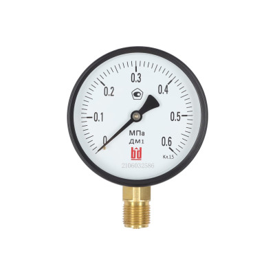 Манометр BD ДМ 1 Т2 100 Р (0-0,6) МПа, кл.1,5, М20х1.5