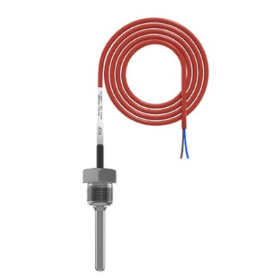 Погружной датчик температуры воды RGP 80 мм. G1/2