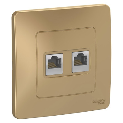 BLANCA скрытой установки розетка двойная компьютерная RJ45, титан