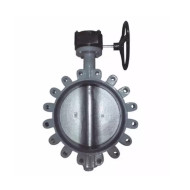 Затвор дисковый поворотный с проушинами Giacomini EPDM Ду80 Ру16 р/проуш д/чуг R59FL