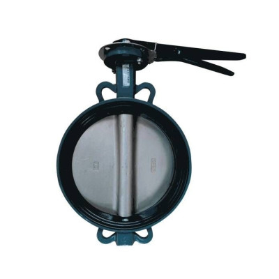 Затвор дисковый поворотный Benarmo Ду250 Ру16