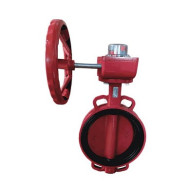 Затвор поворот чуг EPDM Ду250 Ру10/16 ред д/чуг EURO FBV-RA Benarmo