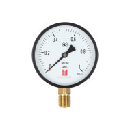 Манометр BD ДМ 1 Т2 100 Р (0-1) МПа, кл.1,5, G1/2