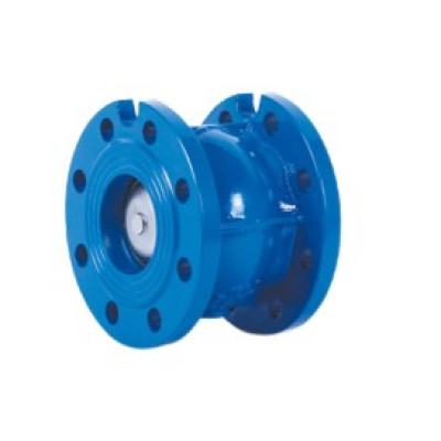 Грибковый фланцевый обратный клапан подпружиненный Water Technics CVF WT DN125