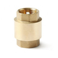 Клапан обратный с пластиковым диском, В-В 1 ,Pro Aqua