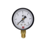 Манометр BD ДМ 1 Т2 063 Р (0-6) бар, кл.1,5, G1/4