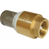 Клапан обратный с сеткой ВВ 1