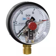 Манометр Экомера МД 02(Э) 0-1,0МПа(0-10бар)Дк100 G1/2"