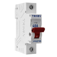 Выключатель TOKOV Electric Prizma нагрузки модульный 1П 40А