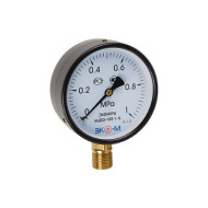 Манометр Экомера МД02-100мм 0-2,5 МПа (0..25бар) G1\2