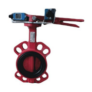 Затвор поворот чуг EPDM Ду65 Ру10/16 д/чуг конц выкл EURO FBV-A Benarmo