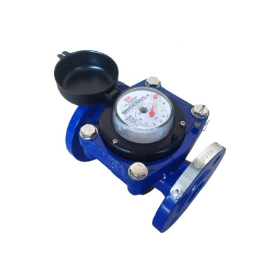 Счетчик Водомер ТВСХ-01 100 IP68