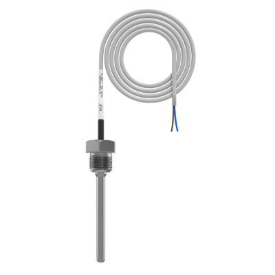 Погружной кабельный датчик температуры жидкости RGP 80 мм. G1/2