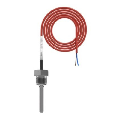 Погружной датчик температуры воды RGP 50 мм. G1/2